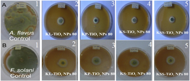 Figure 6