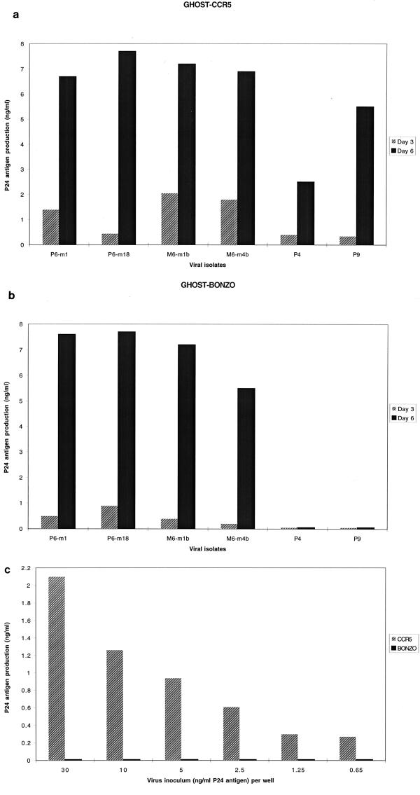 FIG. 1