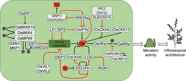 Figure 4