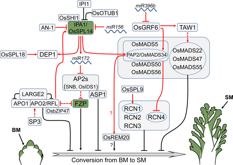 Figure 3