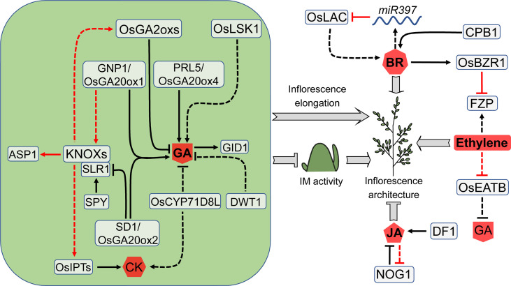 Figure 6