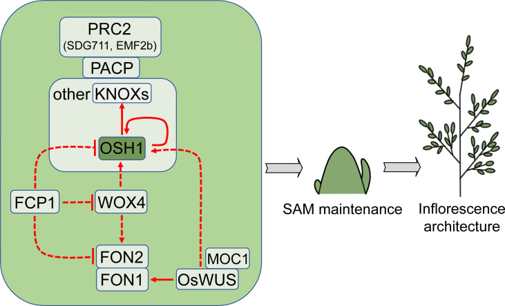 Figure 2