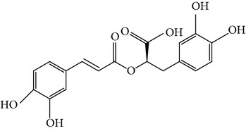 graphic file with name BMRI2015-618021.tab1.i002.jpg