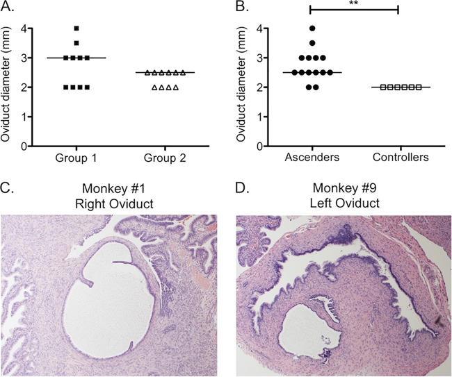 FIG 4