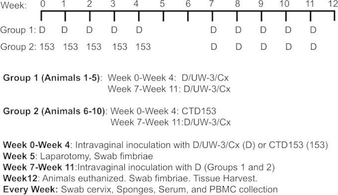 FIG 1