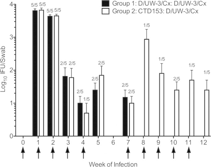 FIG 2