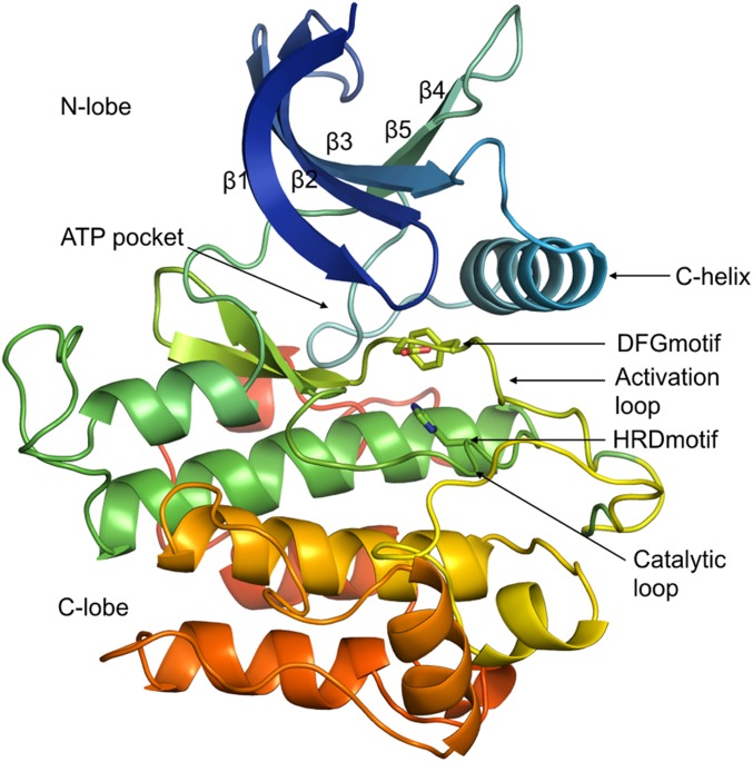 Fig. 1.