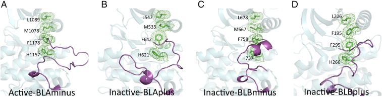 Fig. 8.