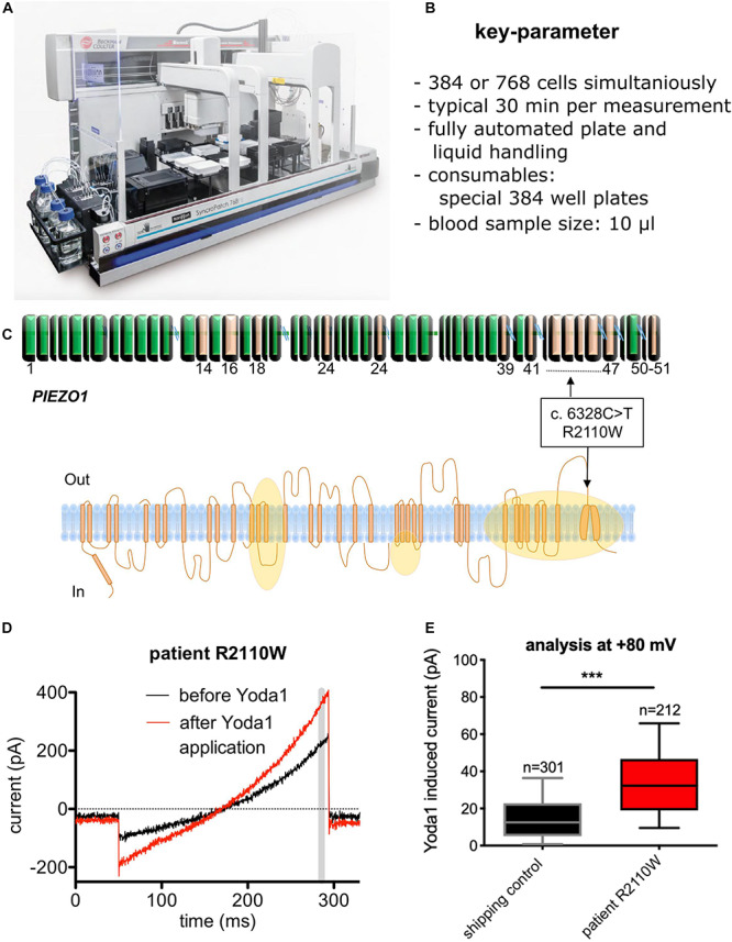 FIGURE 2