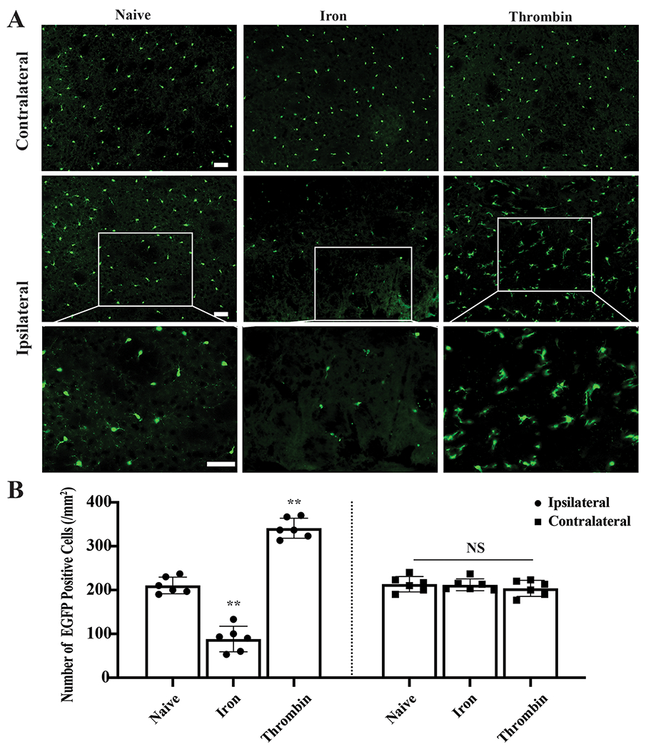 Figure 3: