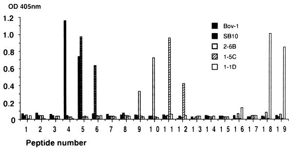 FIG. 6