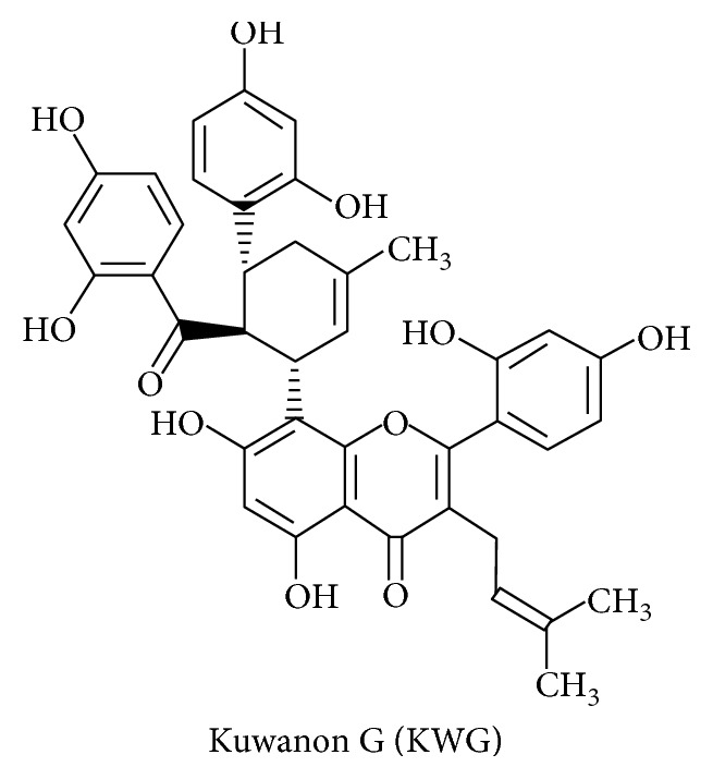 Figure 5