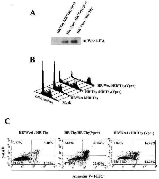 FIG. 4.