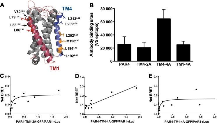 FIGURE 4.