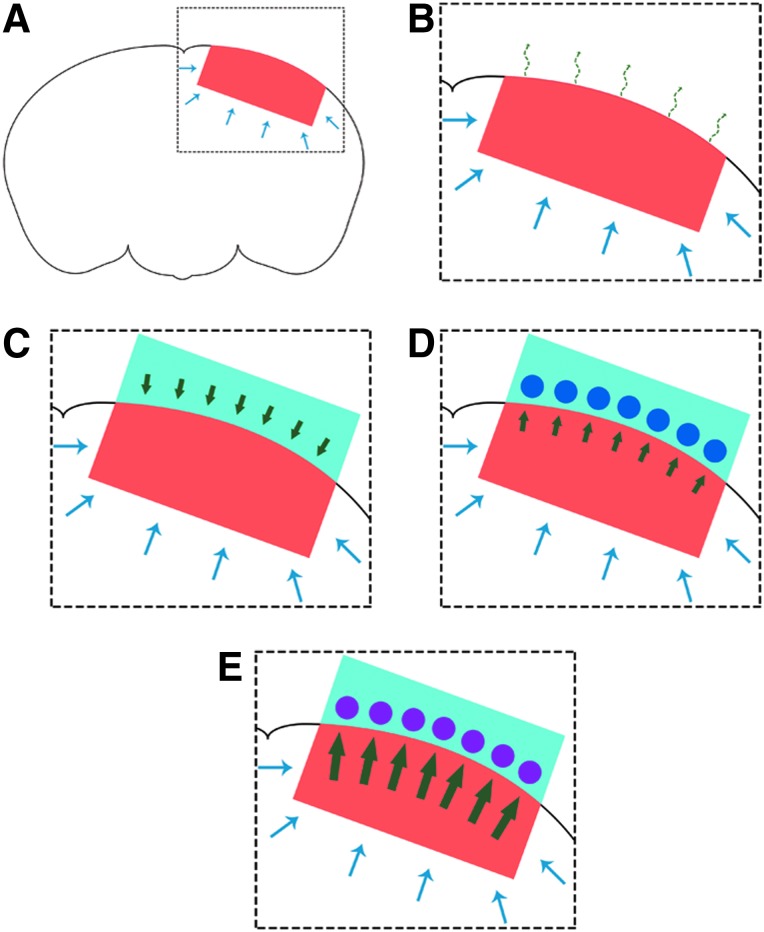 FIG. 3.