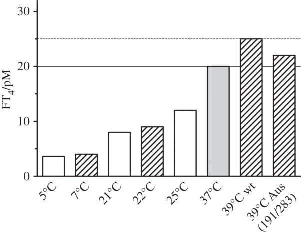 Figure 2.