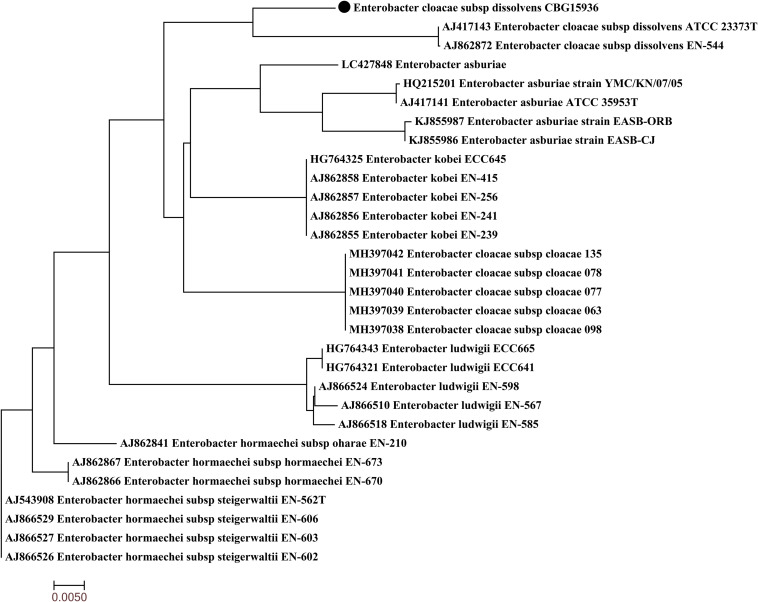 FIGURE 1