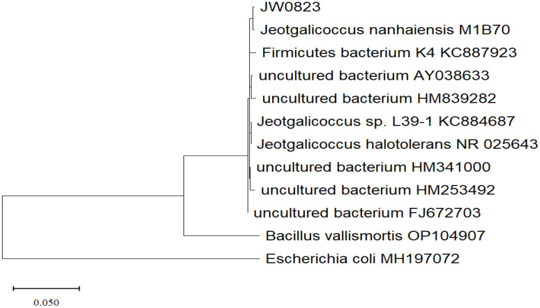 Figure 1