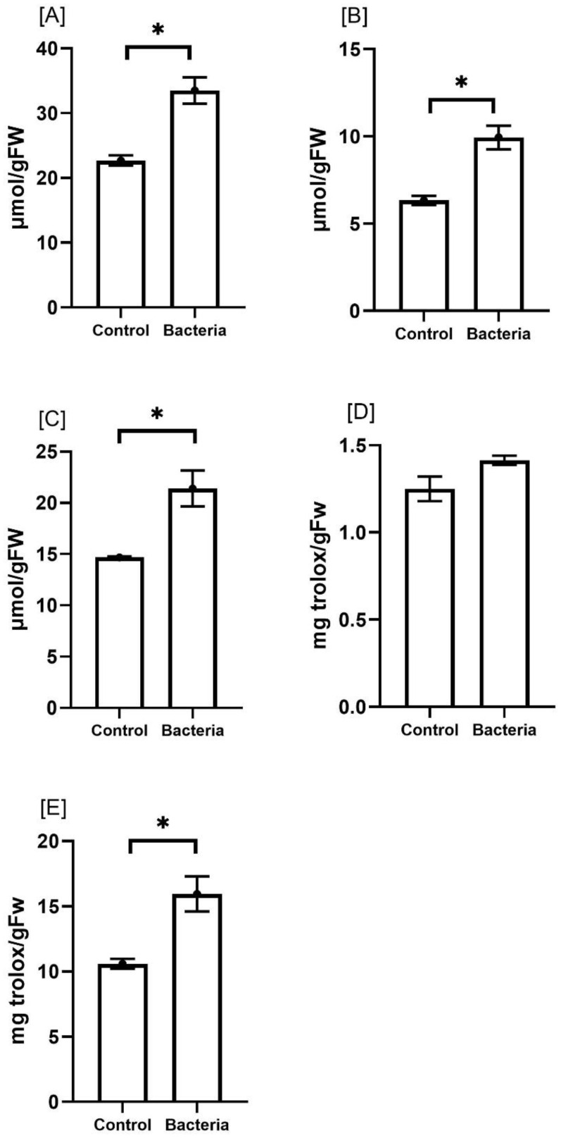 Figure 5