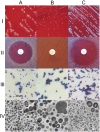 FIG 1