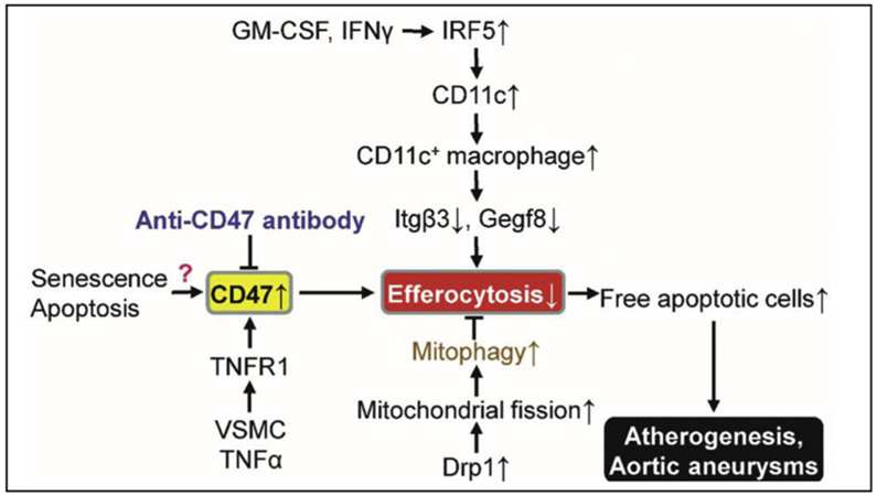 Fig. 6.