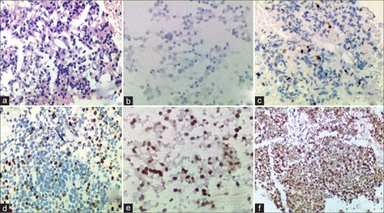 Figure 2: