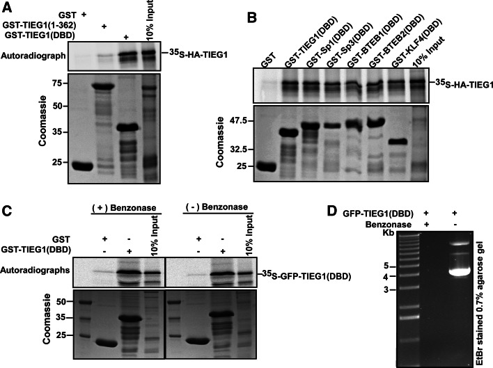 Fig. 7