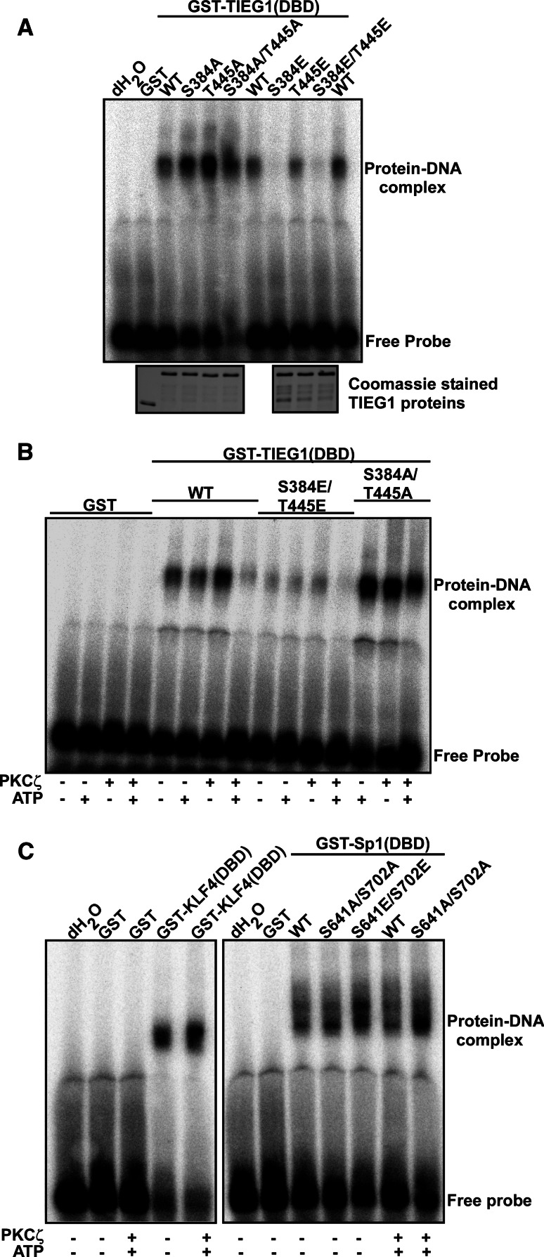 Fig. 4