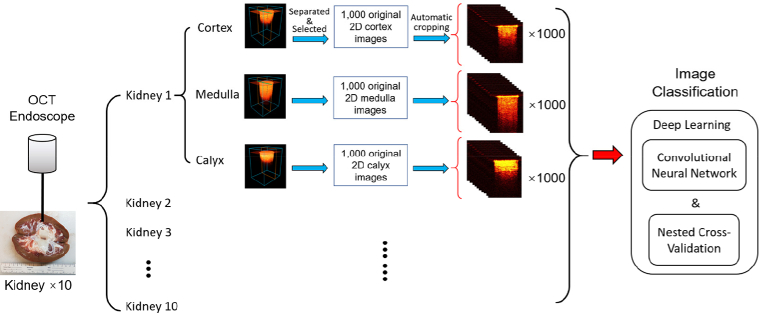 Fig. 2.