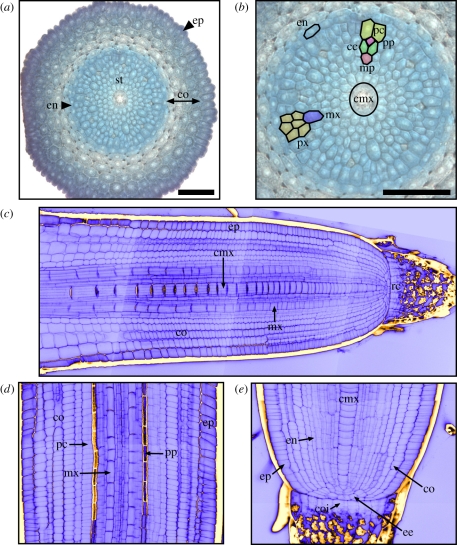 Figure 2.