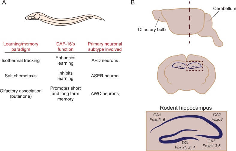 Fig.2