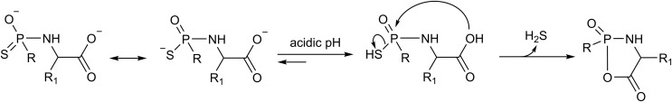 Fig. 15.