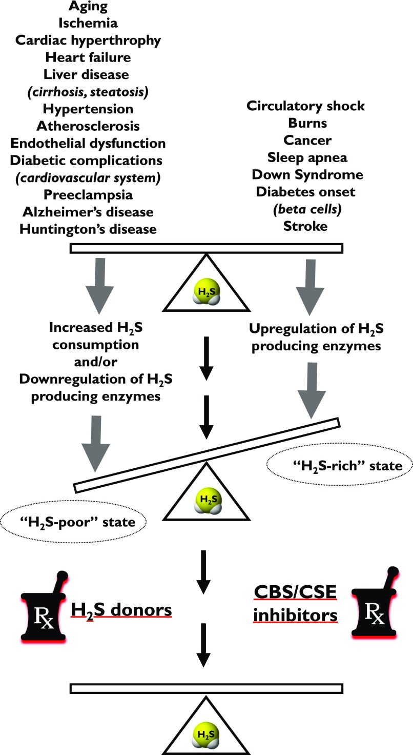 Fig. 27.