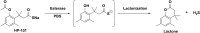 Fig. 18.