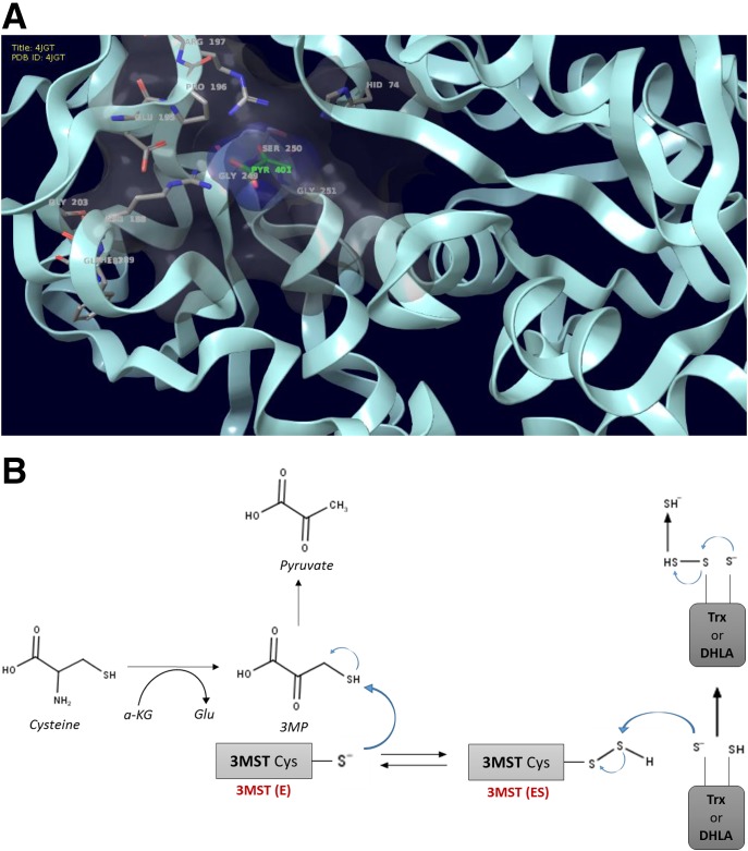 Fig. 25.