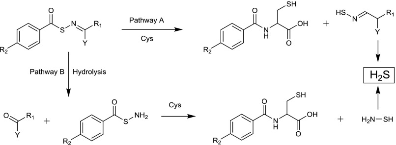 Fig. 14.