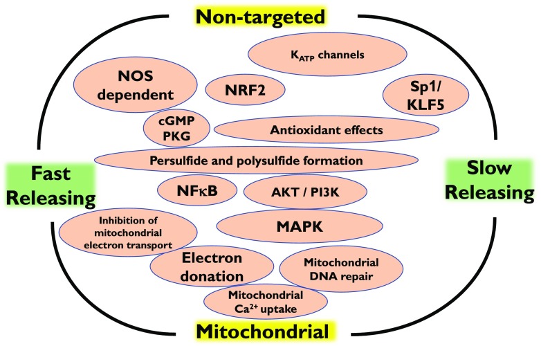 Fig. 26.