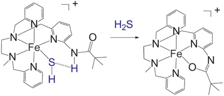 Fig. 12.