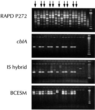 FIG. 1