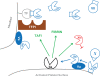 Figure 2c