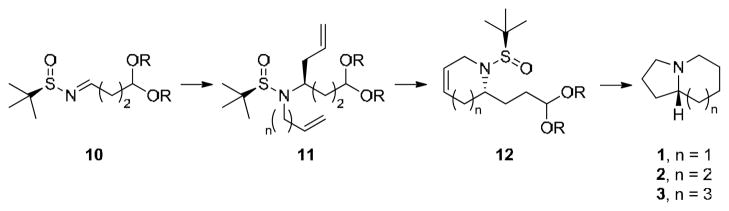 Scheme 1