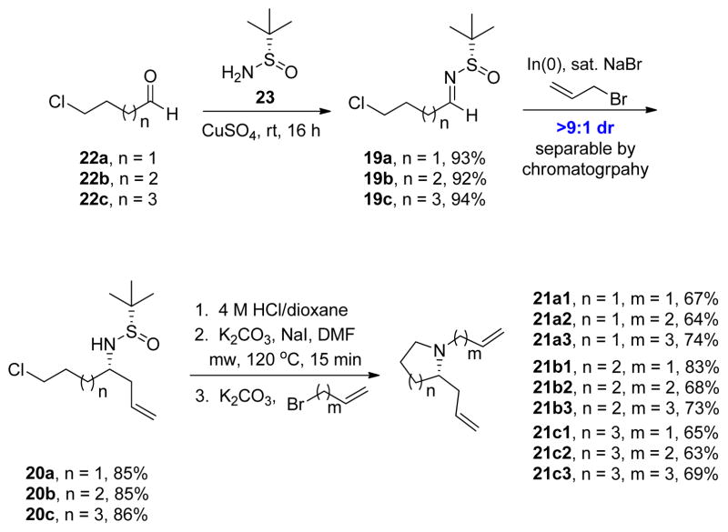 Scheme 4