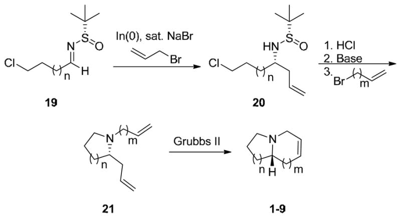 Scheme 3