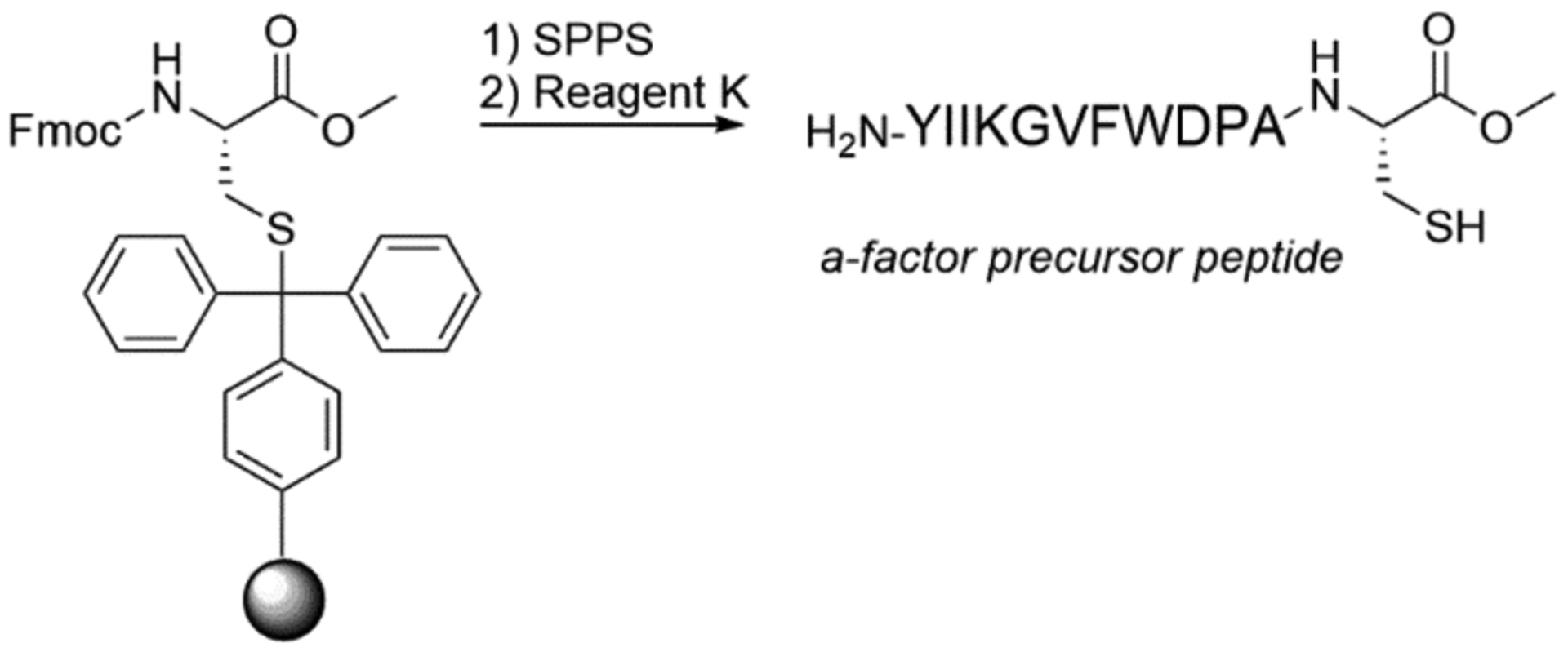 Scheme 3.