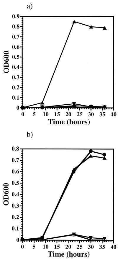 FIG. 6