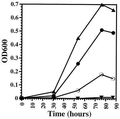 FIG. 5