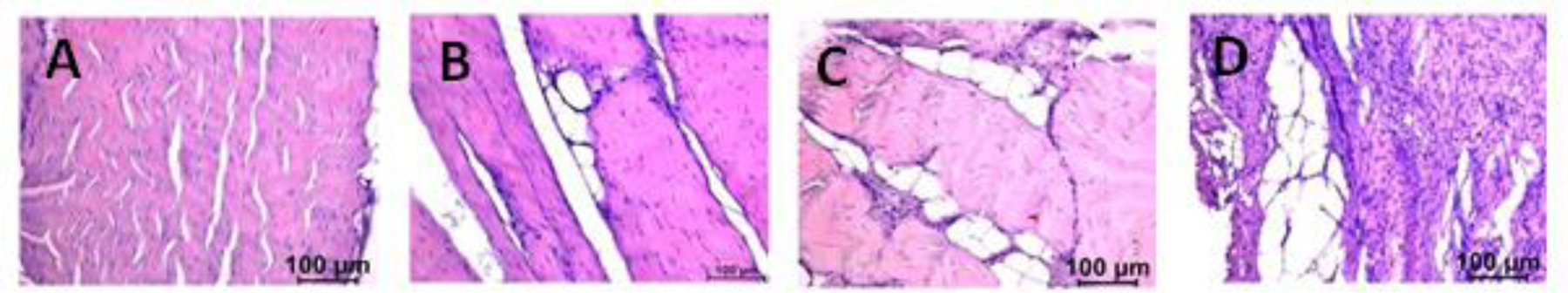 Figure 4: