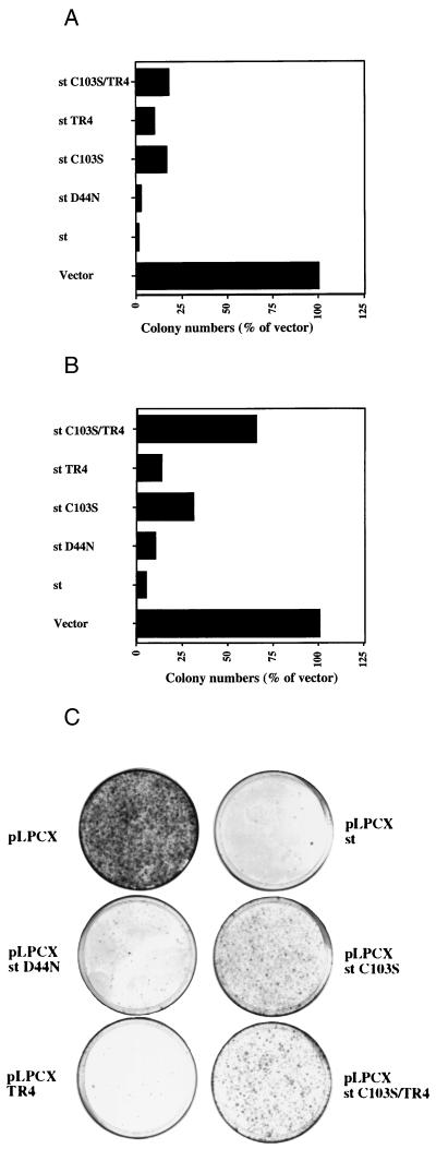 FIG. 7