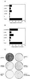 FIG. 7