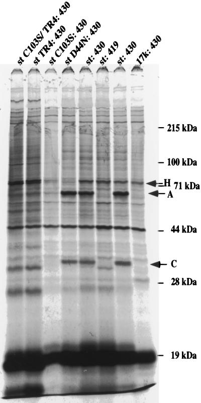 FIG. 6